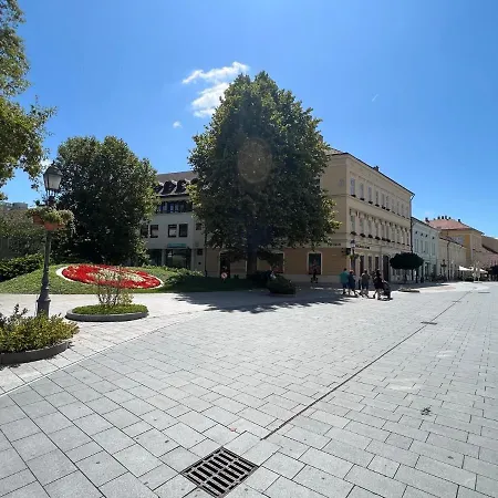Tamas * Szekesfehervar
