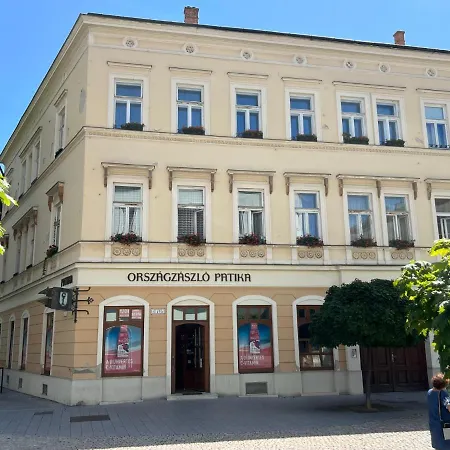 Tamas - Panoramas, Tagas Lakas A Toertenelmi Belvarosban Kilatassal A Viragorara * Székesfehérvár