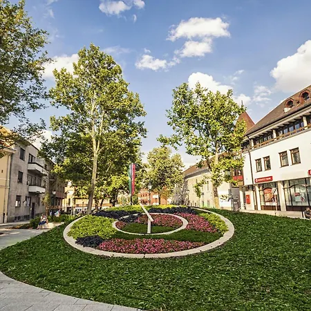 Lägenhet Tamas - Panoramas, Tagas Lakas A Toertenelmi Belvarosban Kilatassal A Viragorara Székesfehérvár