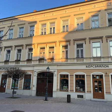 Tamas - Panoramas, Tagas Lakas A Toertenelmi Belvarosban Kilatassal A Viragorara Lägenhet *