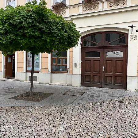 Tamas - Panoramas, Tagas Lakas A Toertenelmi Belvarosban Kilatassal A Viragorara Lägenhet *