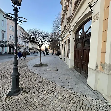 Lägenhet Tamas - Panoramas, Tagas Lakas A Toertenelmi Belvarosban Kilatassal A Viragorara *