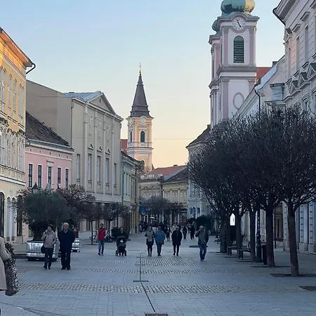 Tamas - Panoramas, Tagas Lakas A Toertenelmi Belvarosban Kilatassal A Viragorara Lägenhet